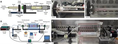 Development of a Semi-Automated, Bulk Seeding Device for Large Animal Model Implantation of Tissue Engineered Vascular Grafts